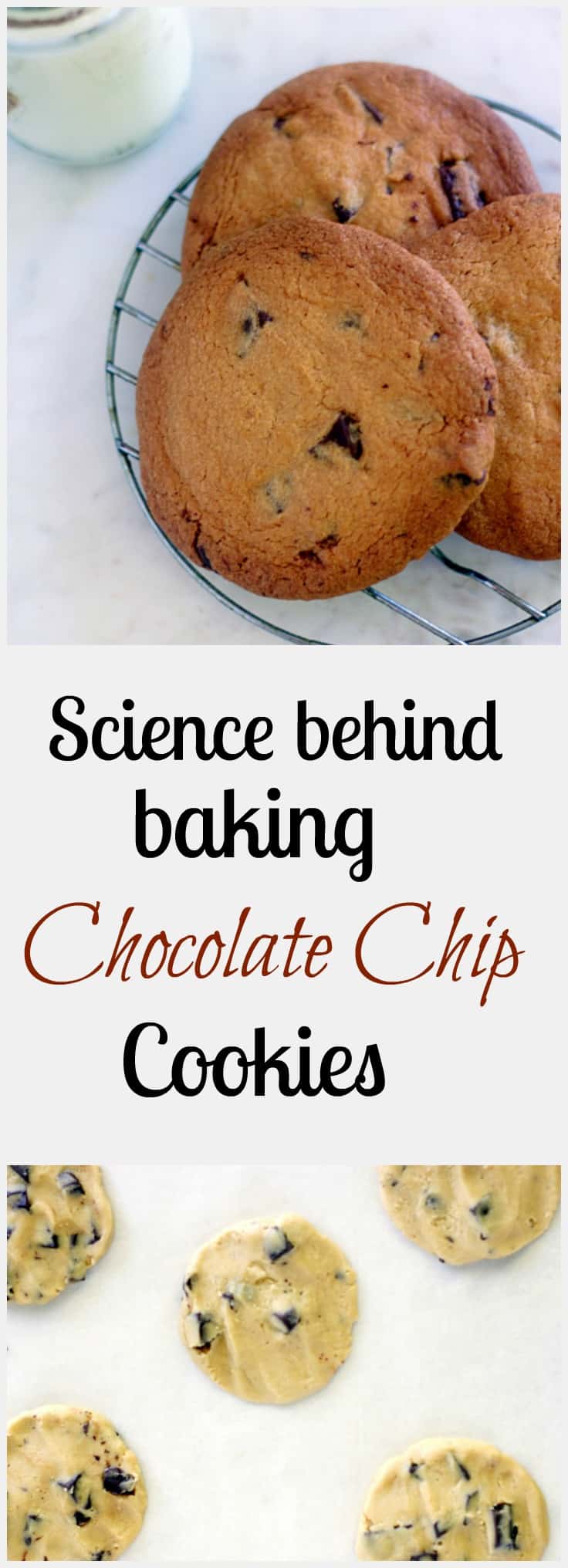 science-behind-chocolate-chip-cookies step by step method of baking cookies with amazing food photography and all the tips and tricks