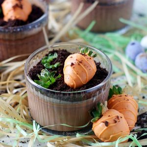 landscape view of instant pot chocolate custard