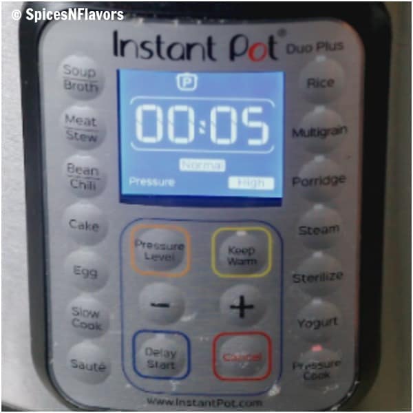 instant pot timer