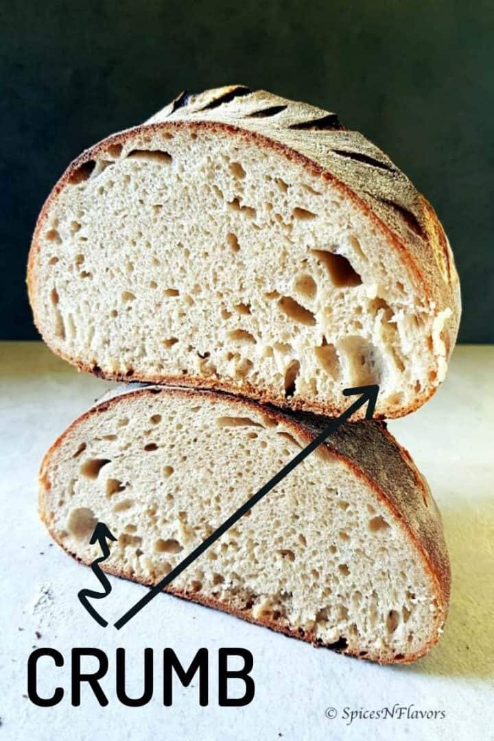 sourdough bread dough showing the open crumbs texture