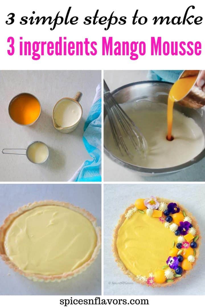 pin image for mango mousse