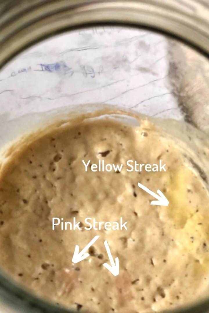 Troubleshooting sourdough