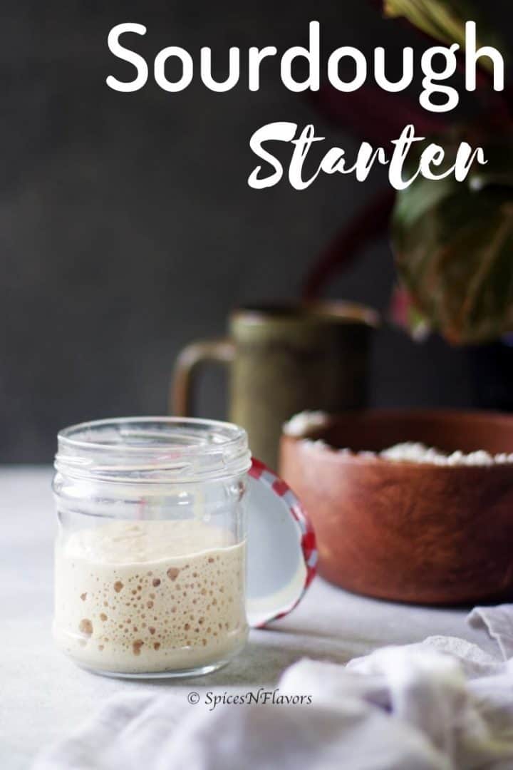 wheat flour starter at its peak activity