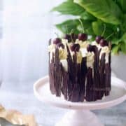 black forest cake placed on a pink cake stand with a green plant in the background