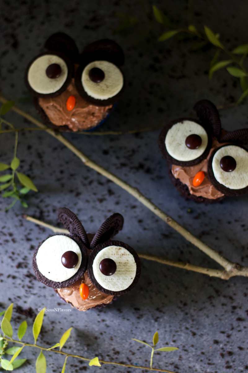 3 owl cupcakes placed with a branch in the background