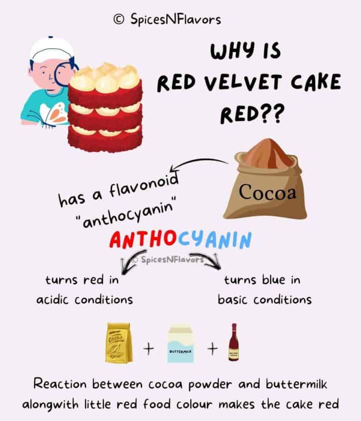 an infographic explaining how do red velvet cake gets the red colouration