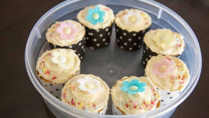 cupcakes stored in an air tight container