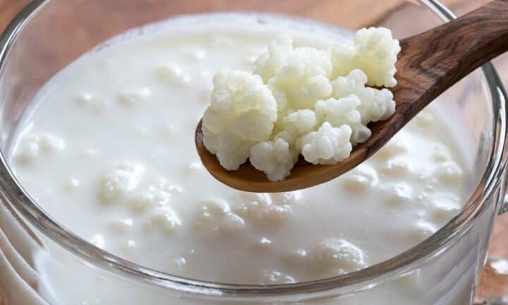 Wooden spoon with Kefir Cheese