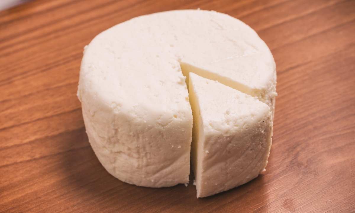 slice of ricotta cheese