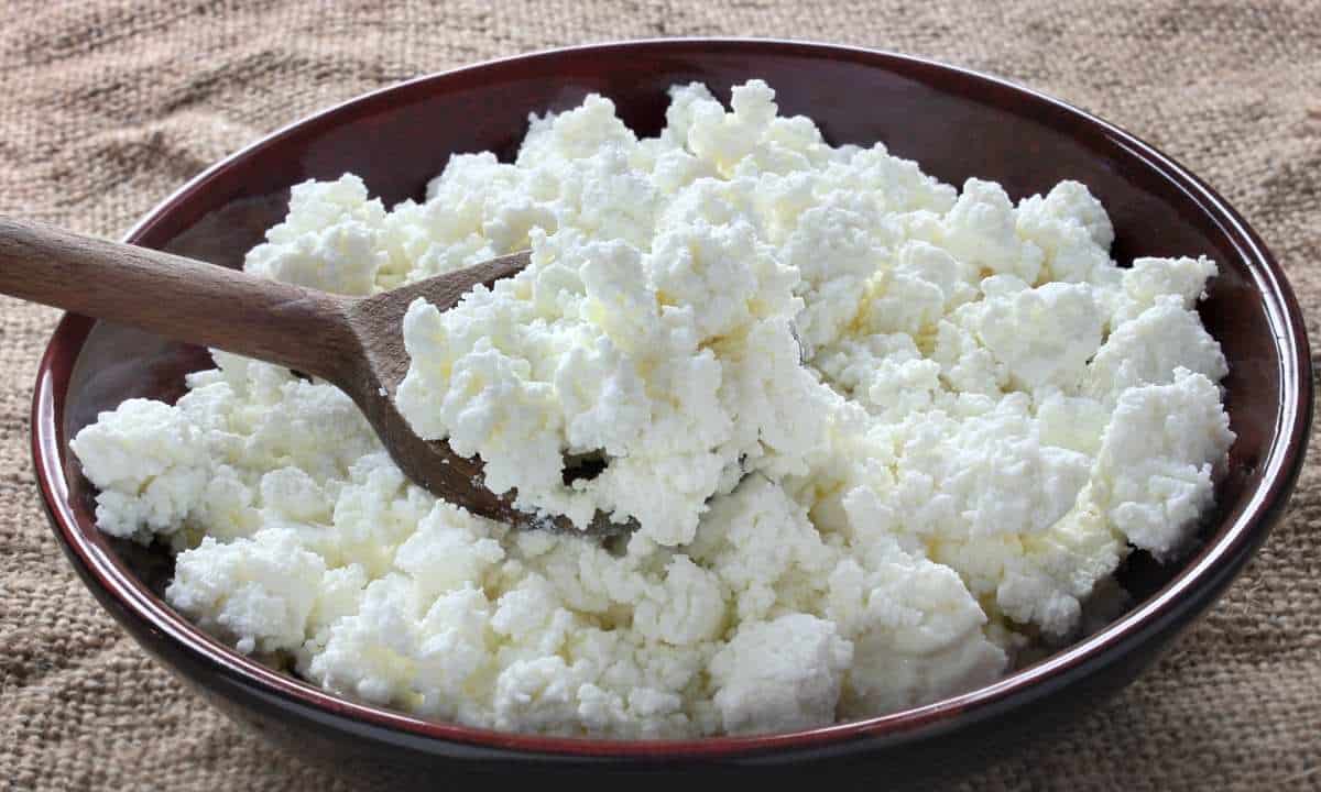 cottage cheese placed in a bowl