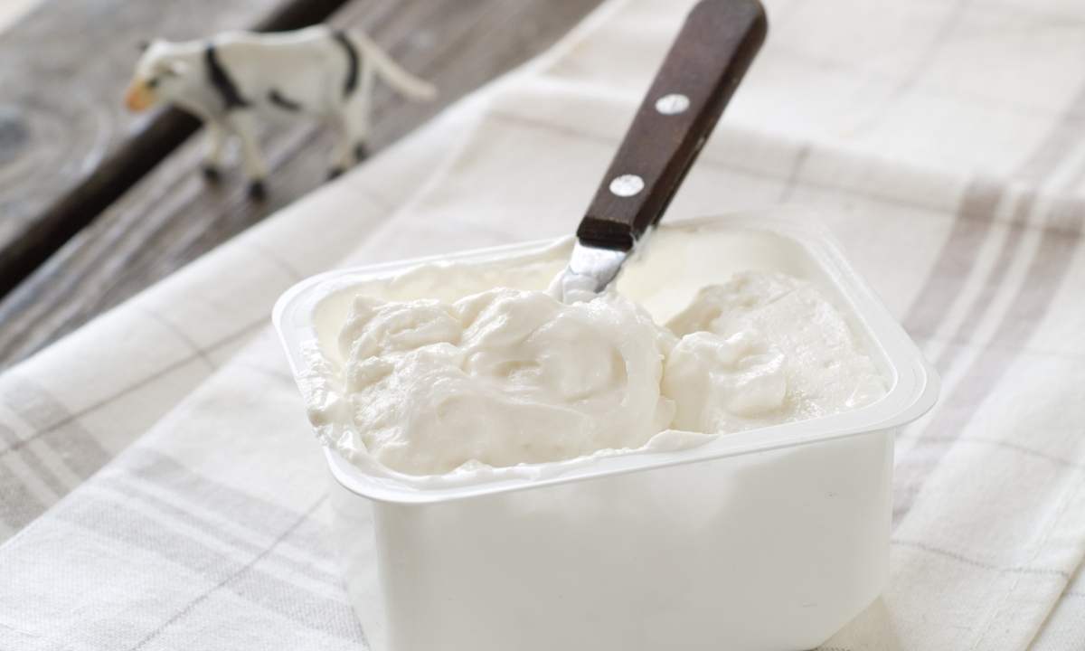 homemade cream cheese placed in a tub