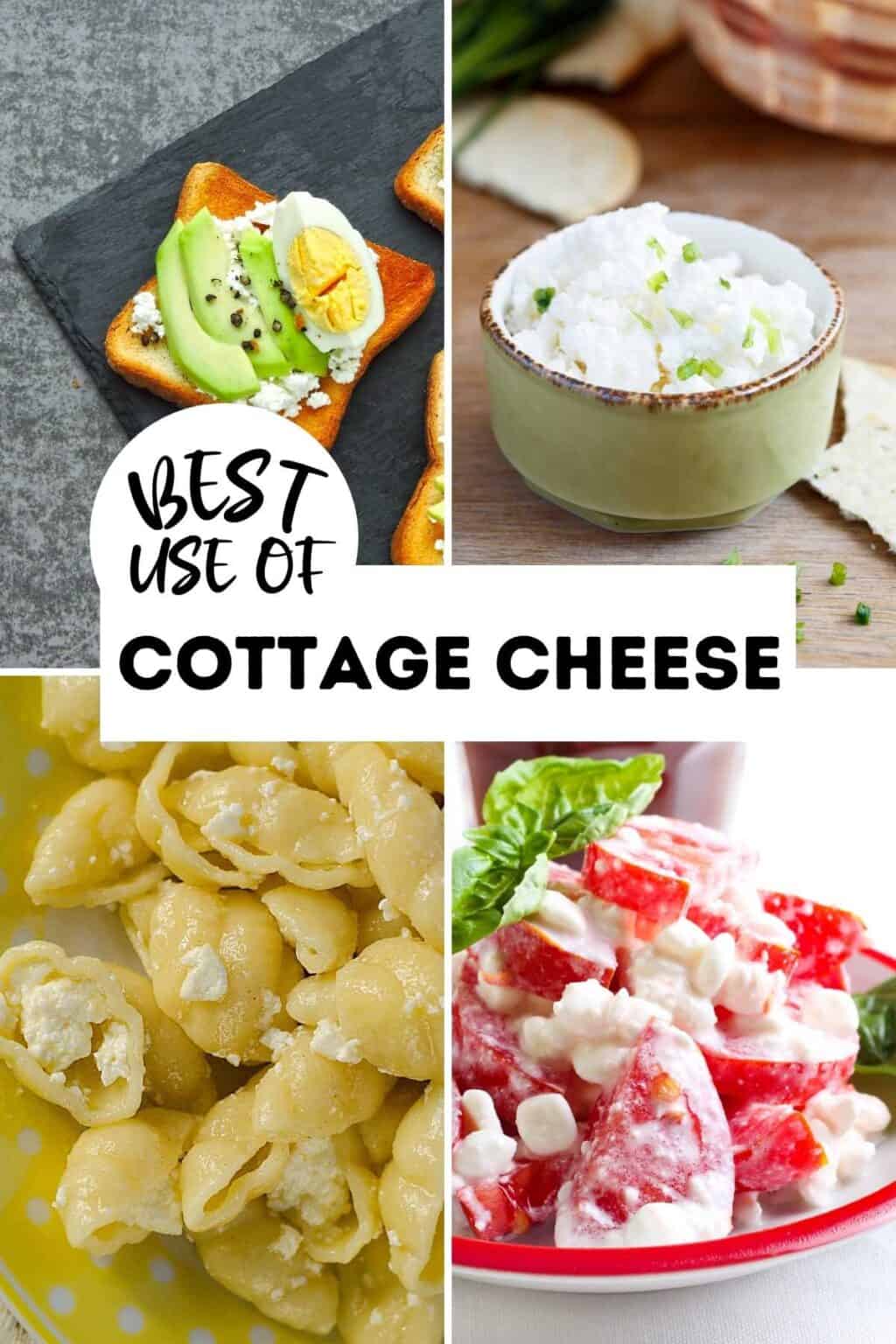Cottage Cheese vs Paneer What's the Difference? Spices N Flavors