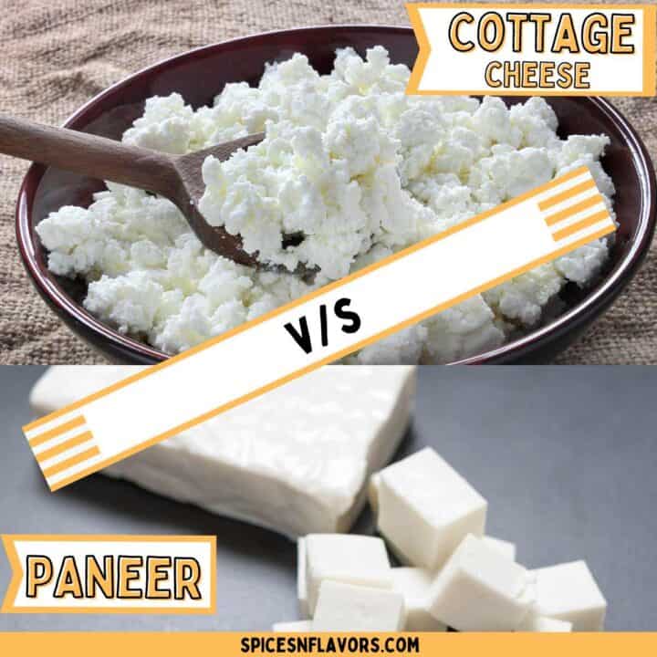 close up image of cottage cheese and paneer with text on top to fit the featured image
