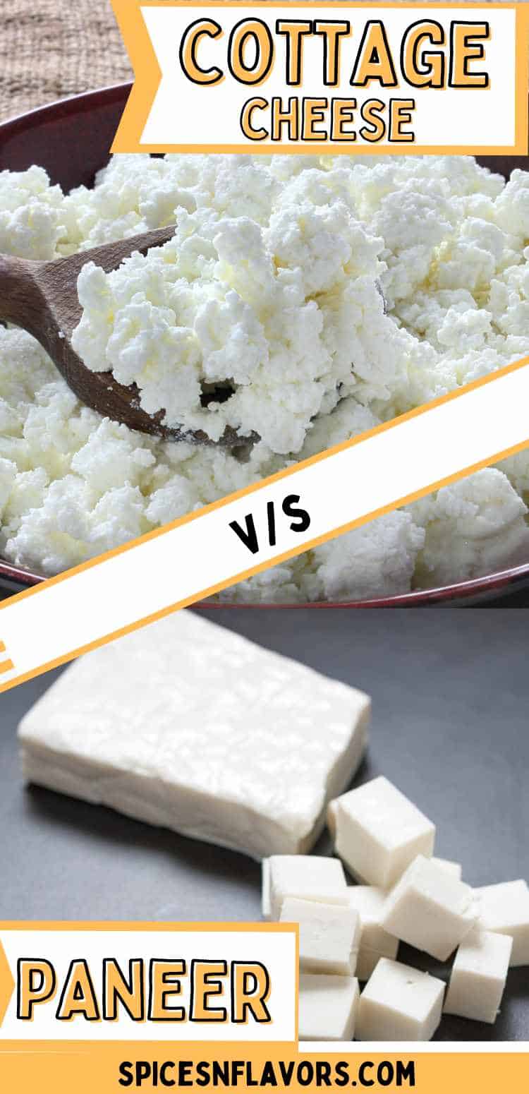 Cottage Cheese vs Paneer What's the Difference? Spices N Flavors