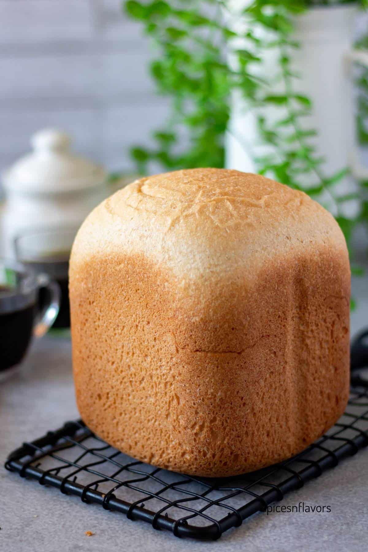 honey wheat bread placed on wire rack