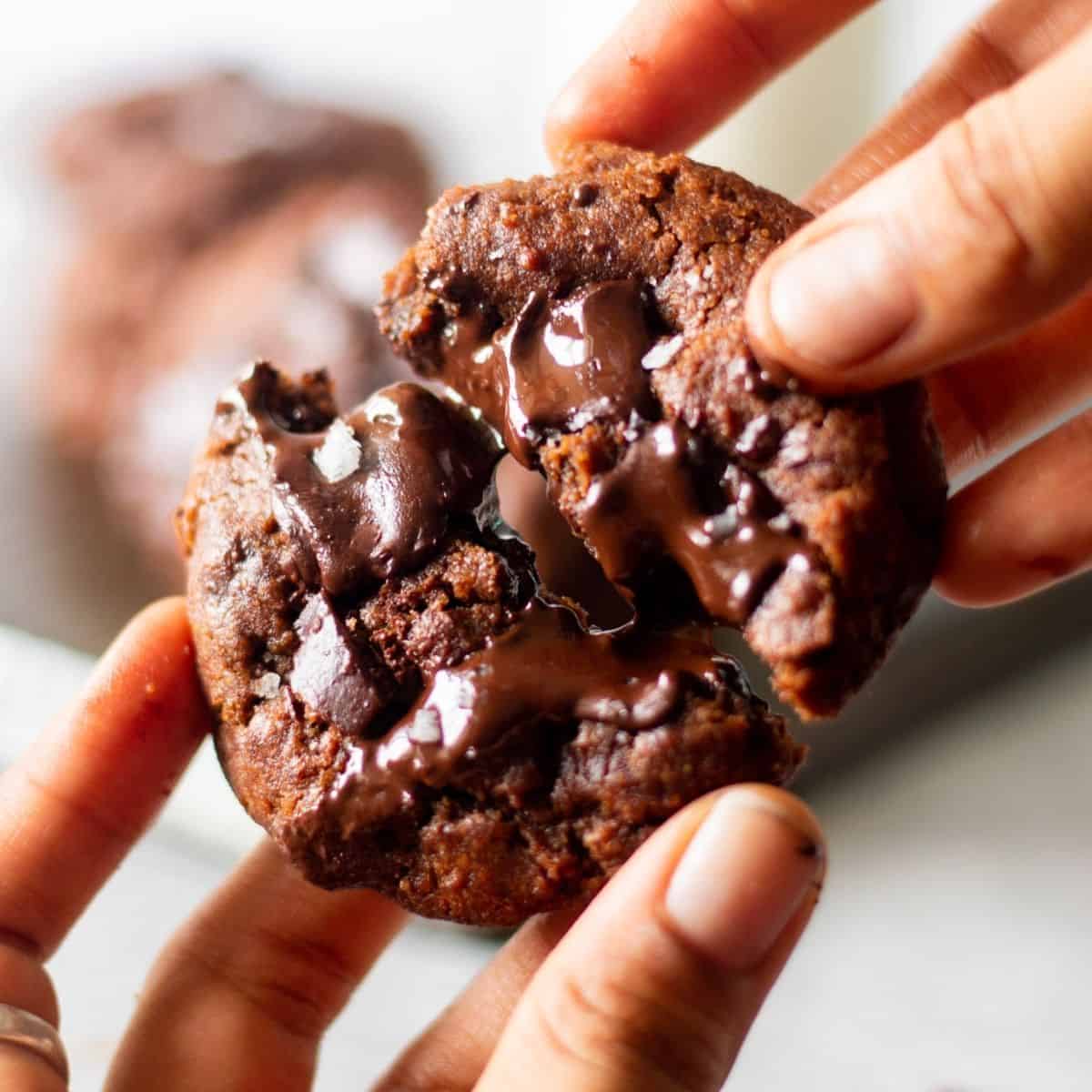 close up image of espresso chocolate cookies to fit the recipe card