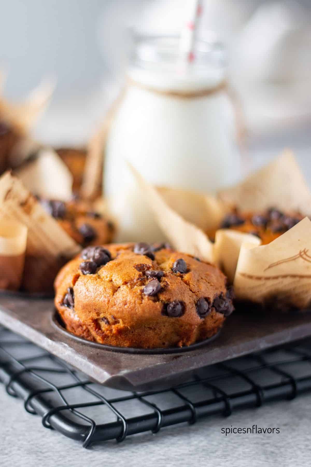 whole wheat muffins placed in a muffin tin