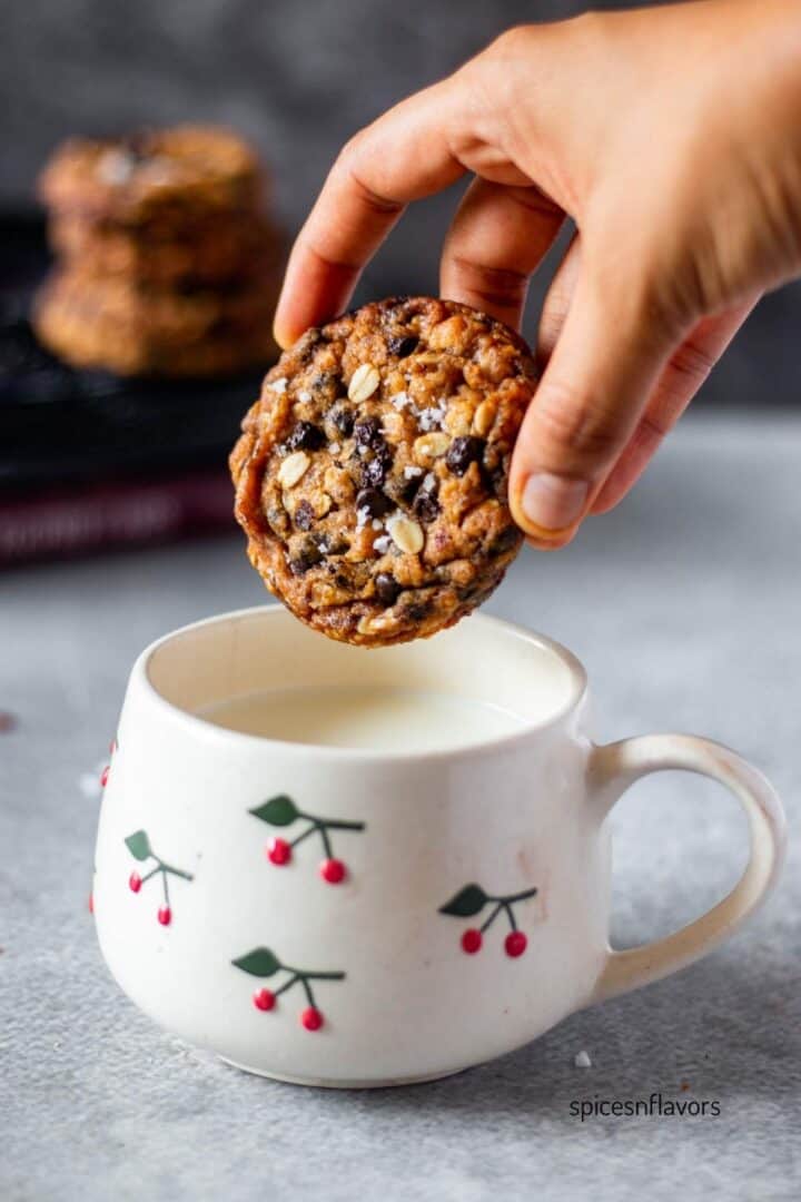 one oatmeal chocolate chip cookie held in hand ready to be dipped in milk