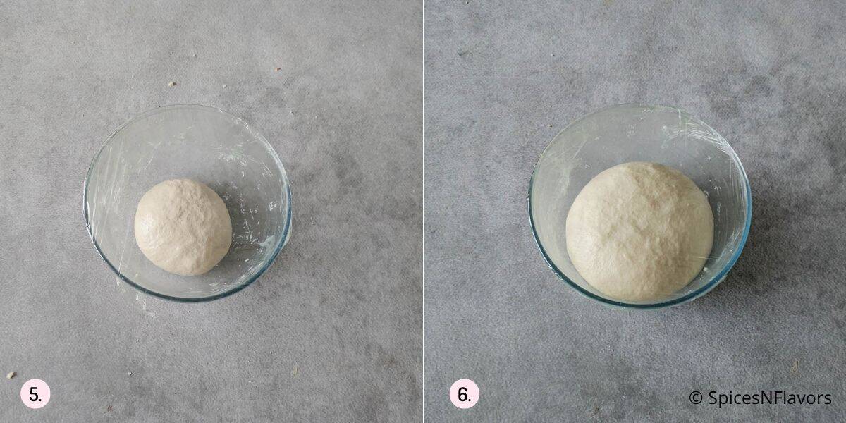 prove the dough in a oiled bowl