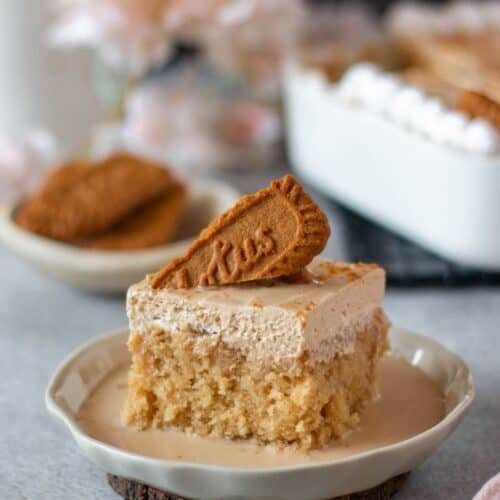 slice of biscoff tres leches cake placed on a plate