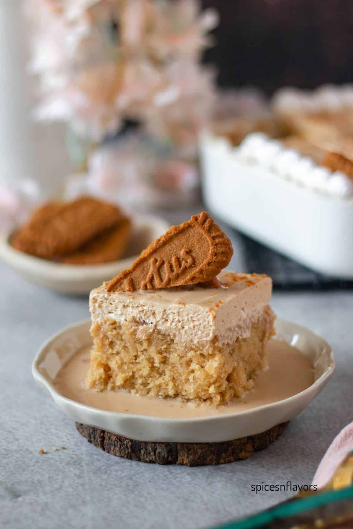 slice of biscoff tres leches cake placed on a plate